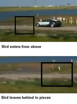 Illustration for article titled Bugatti Veyron Lake Crash: Jalopnik Reader Theories